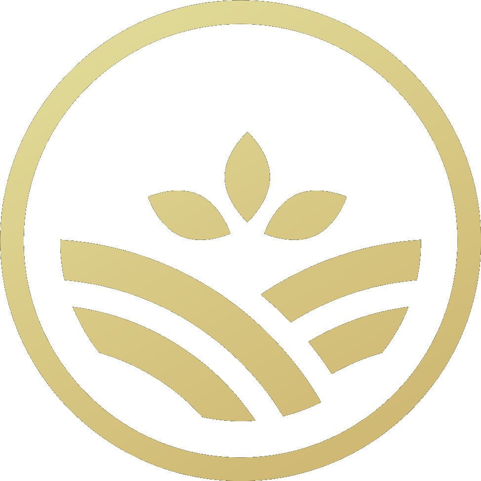 BSF